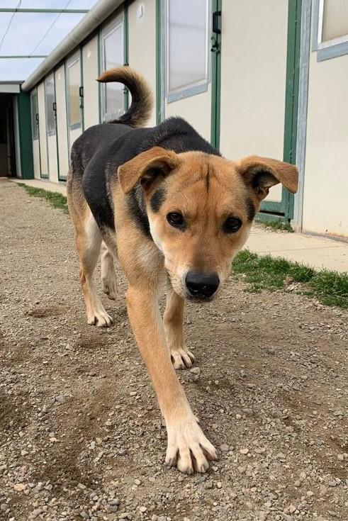 Poseidone, Adozione Del Cuore, Un Po’ Timoroso